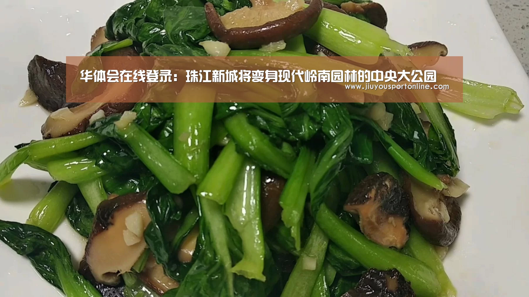 华体会在线登录：珠江新城将变身现代岭南园林的中央大公园(图2)